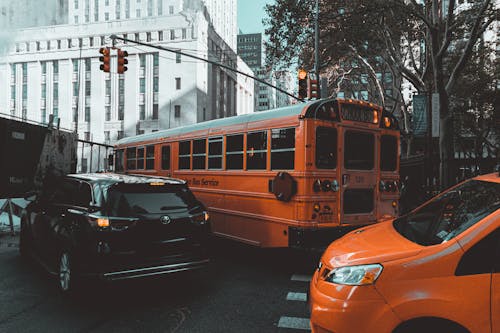 Безкоштовне стокове фото на тему «автобус, автомобілі, Америка»