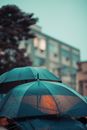雨伞在雨中特写，城市背景模糊，展现城市天气情绪