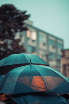 雨伞在雨中特写，城市背景模糊，展现城市天气情绪