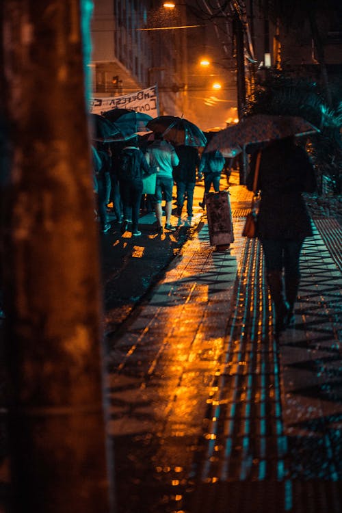 Free stock photo of city, night, rain