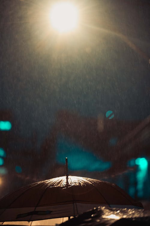 Free stock photo of night, rain, umbrella