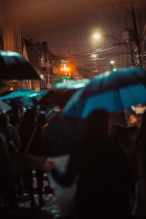 Free stock photo of rain, umbrella