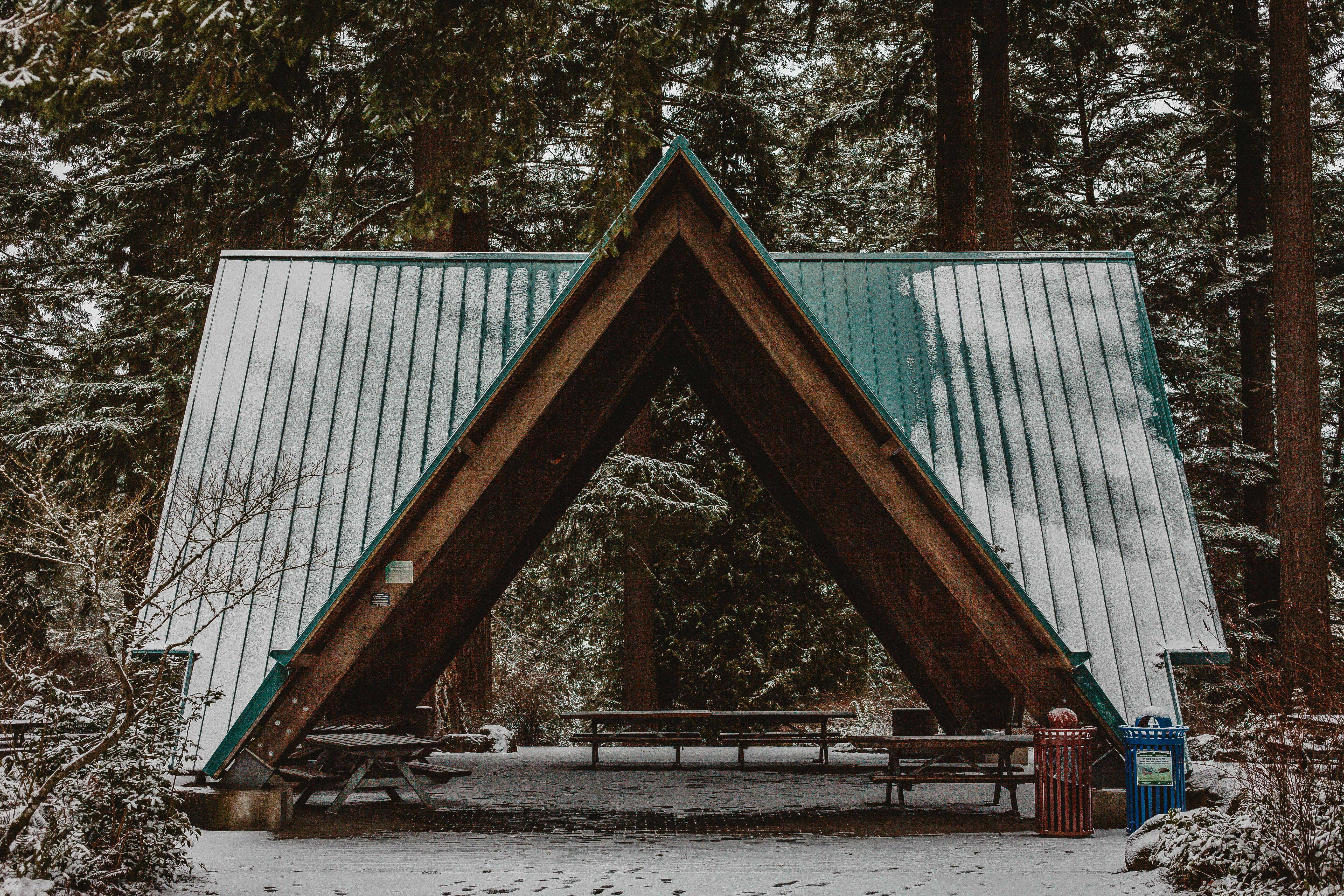冬日森林中，白雪皑皑的凉亭映衬出一片宁静的景象