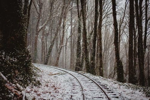Kostenlos Zugbahn In Einem Wald Stock-Foto