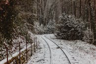 冬日里，白雪覆盖的森林中，孤独的铁轨蜿蜒穿过