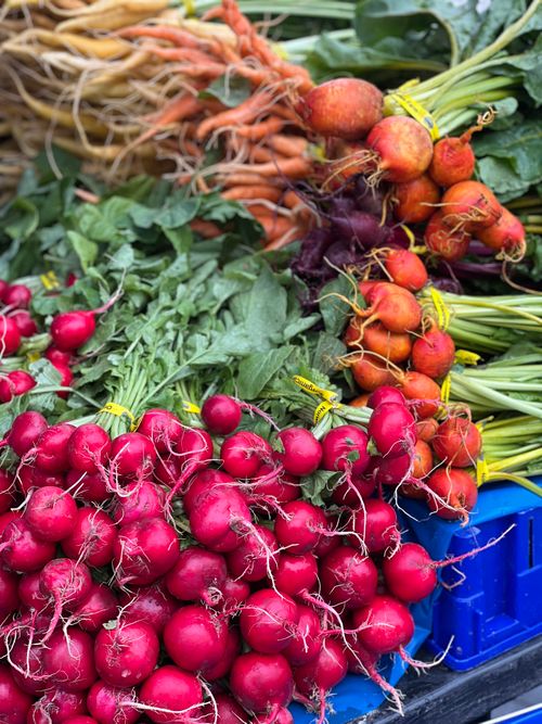 Free A vibrant display of fresh red radishes and golden beets with lush green leaves at a market. Stock Photo