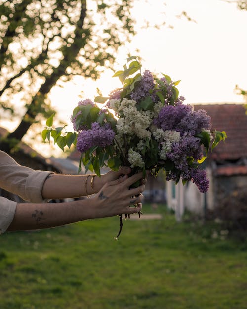 A hand holding a bouquet of lilac flowers (Jovan Vasiljević Photography)