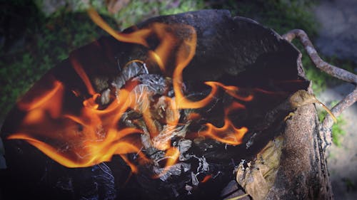 Fotobanka s bezplatnými fotkami na tému atraktívny, drevo na oheň, dym