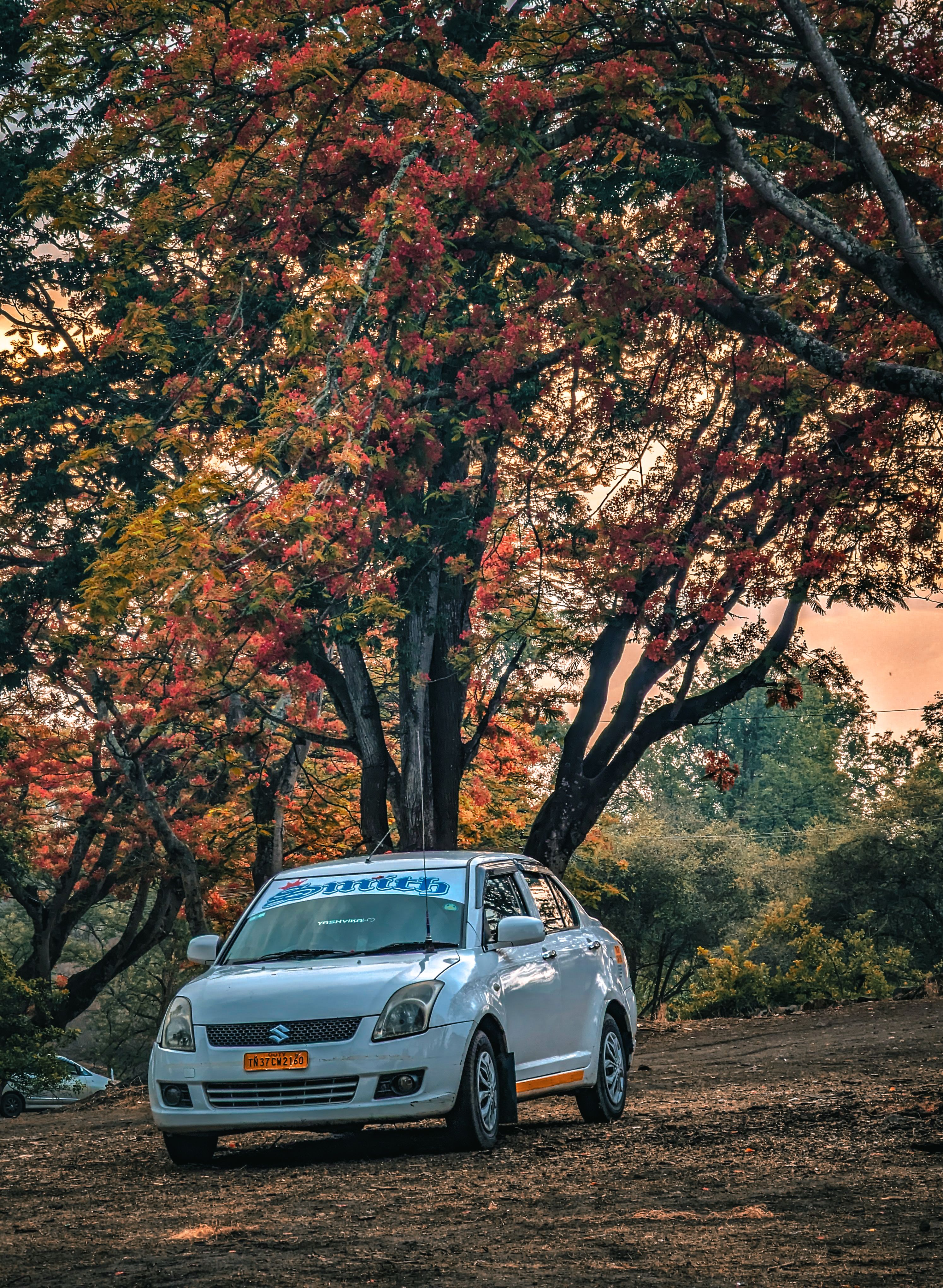 A white Suzuki car parked under vibrant autumn trees in rural Karnataka, India.