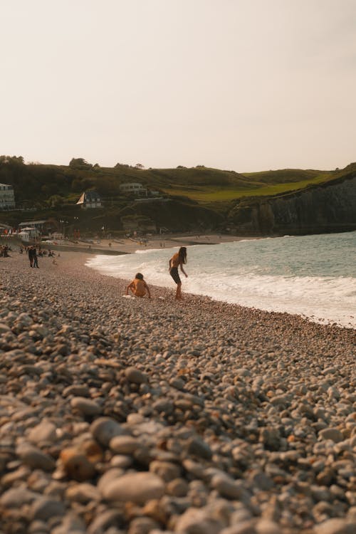 A person walking on a beach with a dog