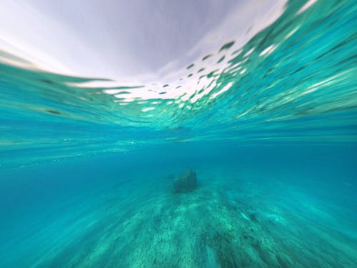 Foto stok gratis di bawah air, laut biru, meksiko
