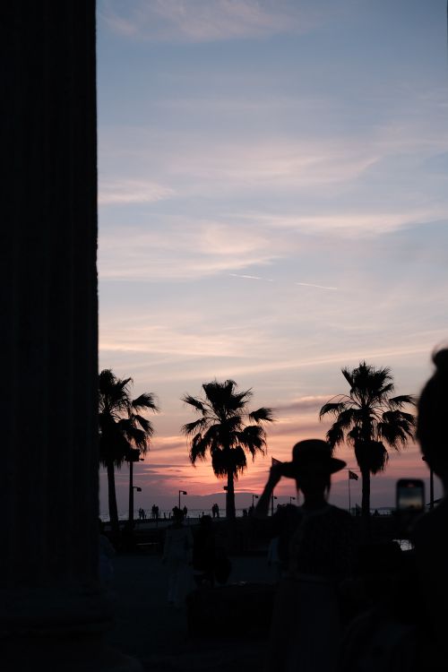 Free Silhouetted palm trees and people at sunset along a tropical promenade. Stock Photo