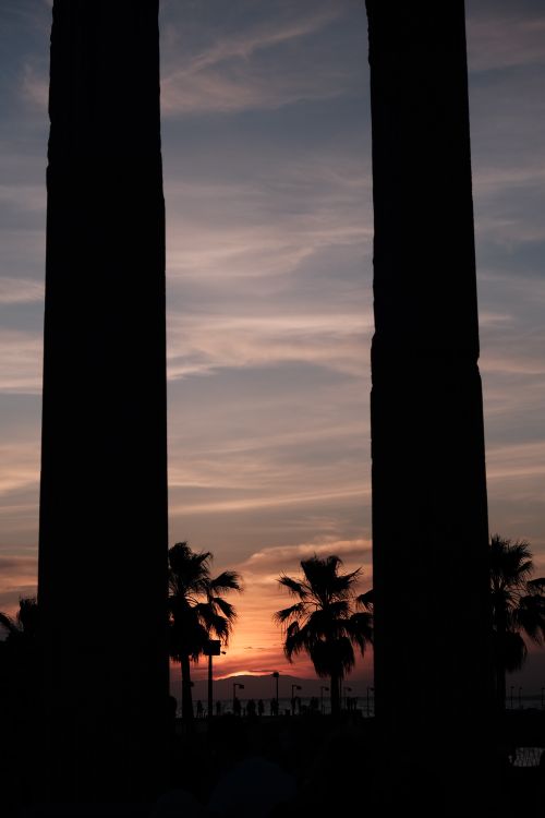 Free Captivating silhouette of palm trees and columns against a vibrant sunset sky. Stock Photo