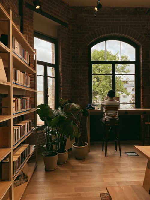 Free A serene library setting with a lone reader at a window, showcasing shelves, plants, and wooden details. Stock Photo