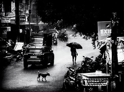 Gratis lagerfoto af bnw, efter-regn, gade