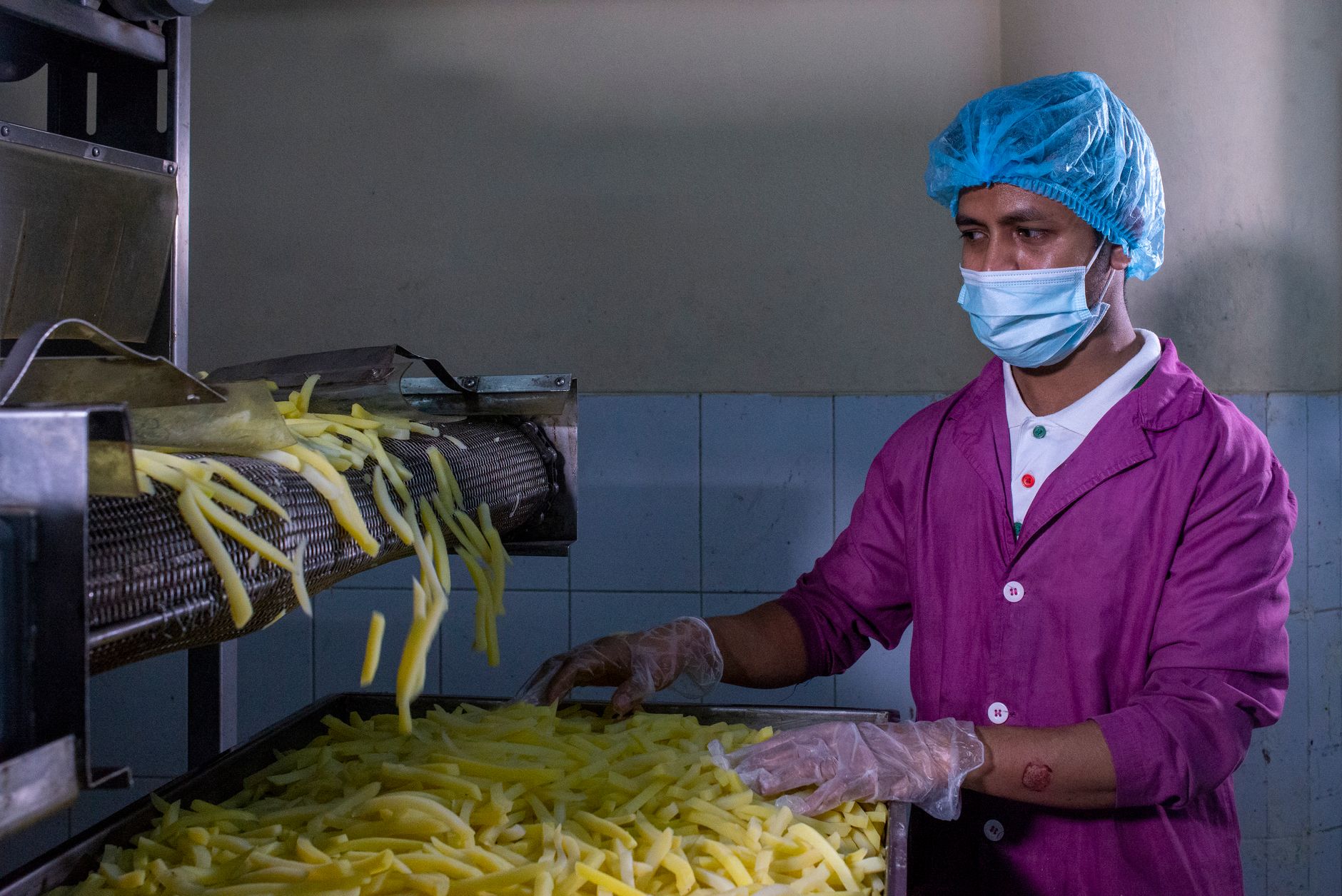 A factory worker in protective gear monitors the production of French fries, ensuring quality control.