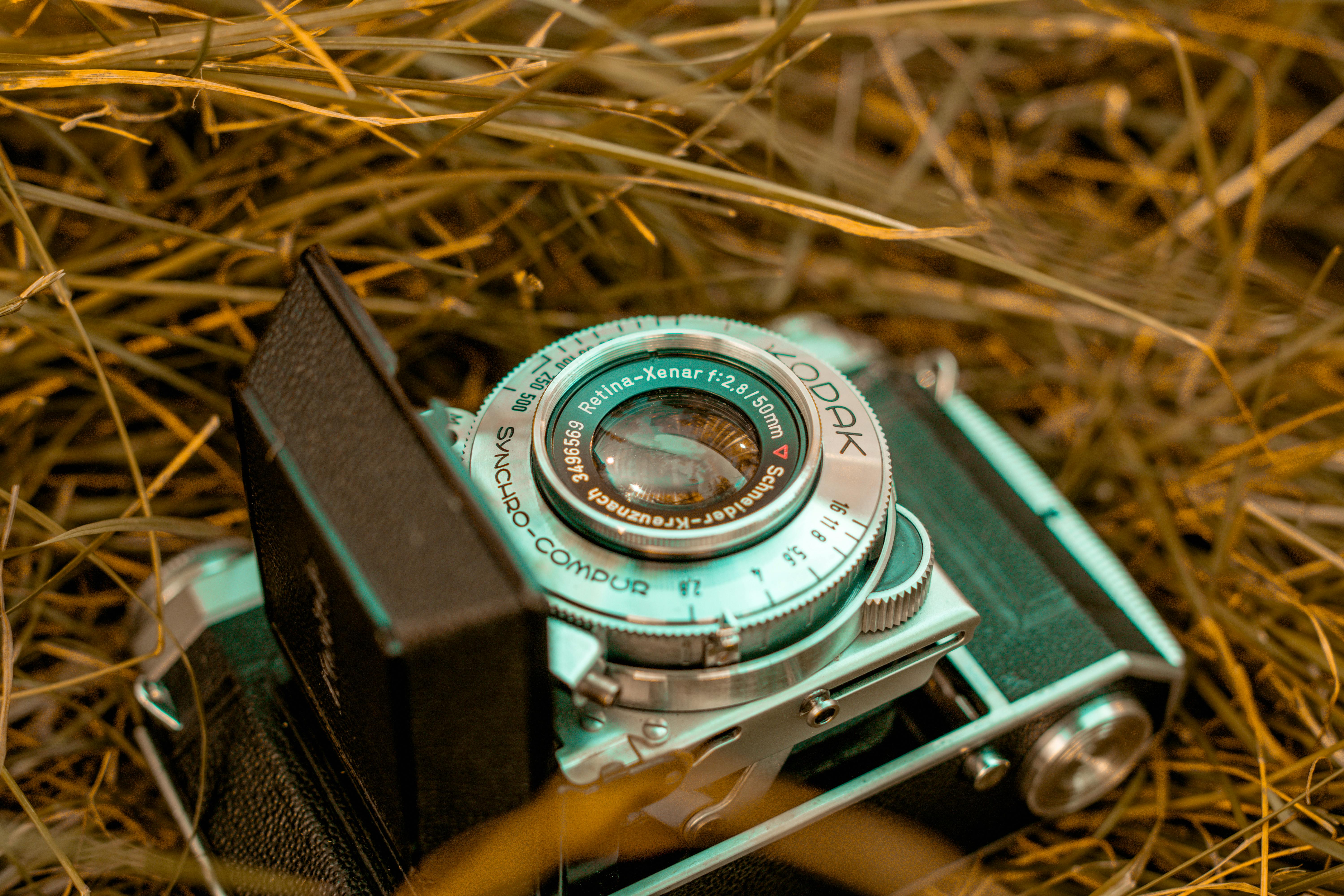 Free stock photo of analog camera, camera, centered