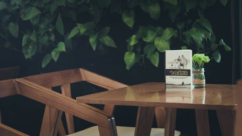 Selective Focus Photography of Book and Green Leafed Plant on Table
