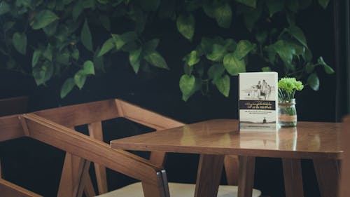 Fotografia Com Foco Seletivo De Livro E Planta De Folhas Verdes Na Mesa