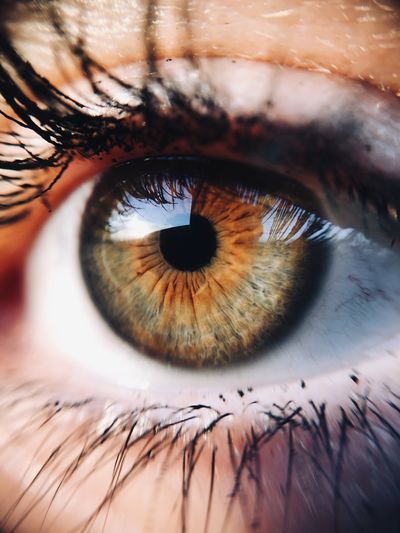 Macro of a hazel human eye — photo by Lukáš Dlutko on Pexels