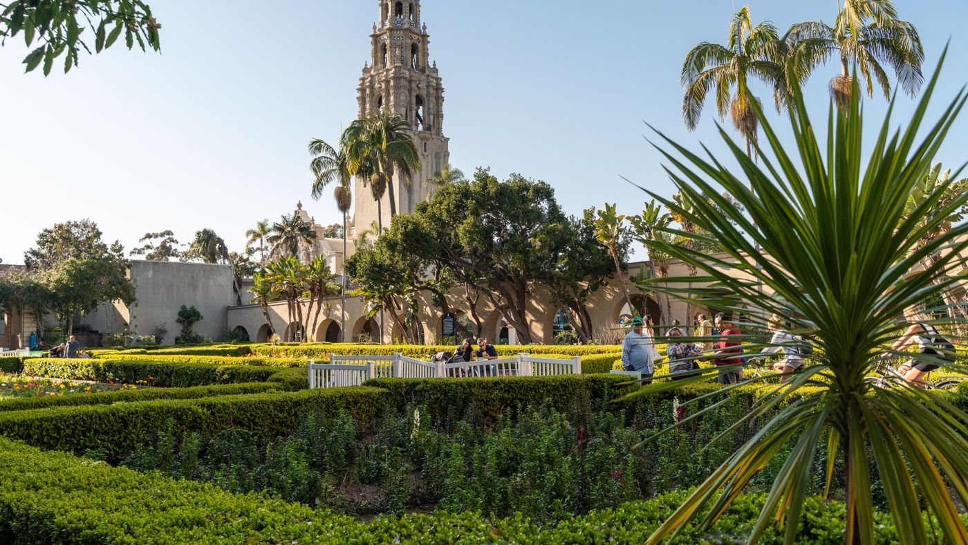 SeaWorld San Diego: An Honest Assessment After Years of Changes