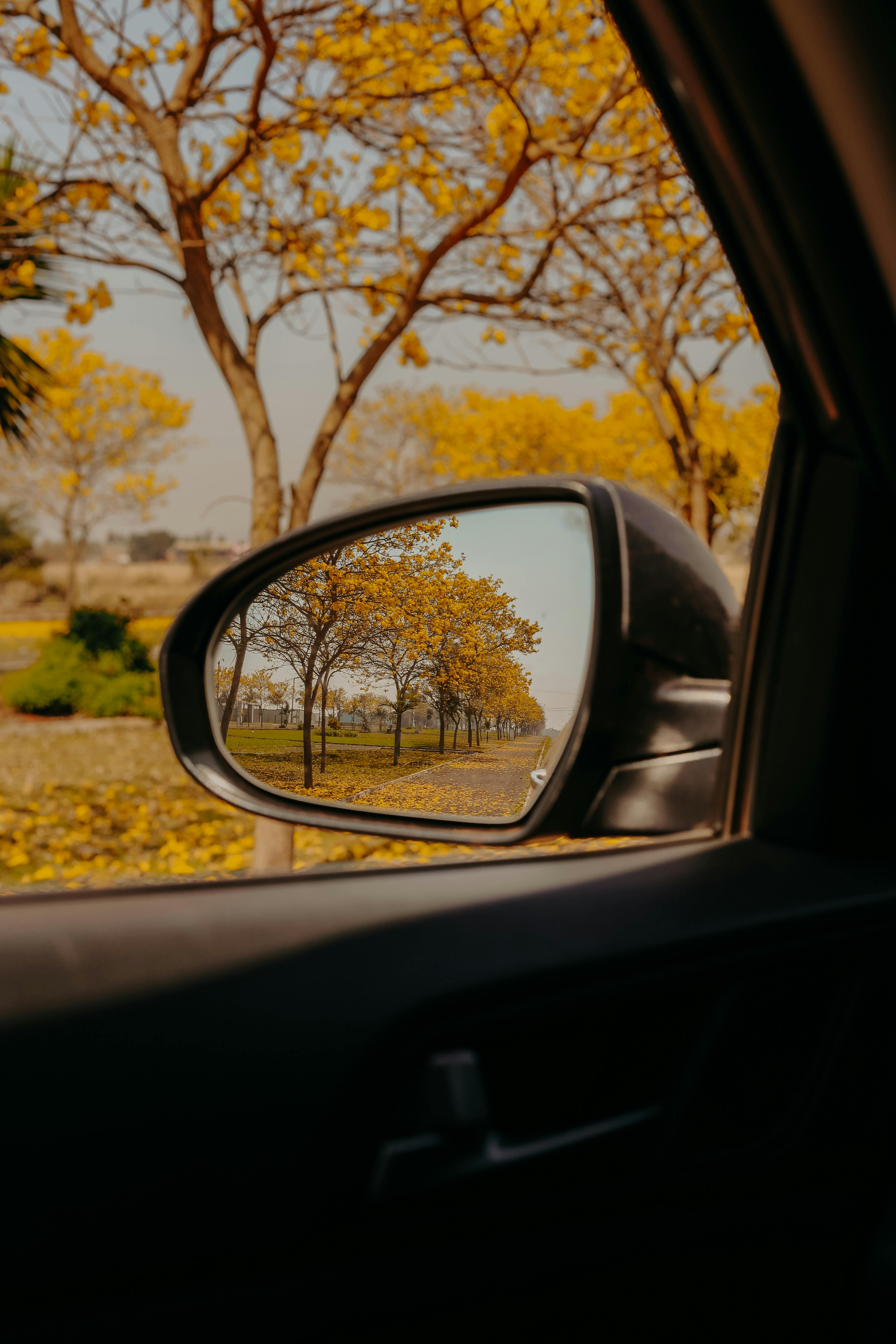 Yellow autumn trees reflected in a car side mirror with a warm and serene vibe.