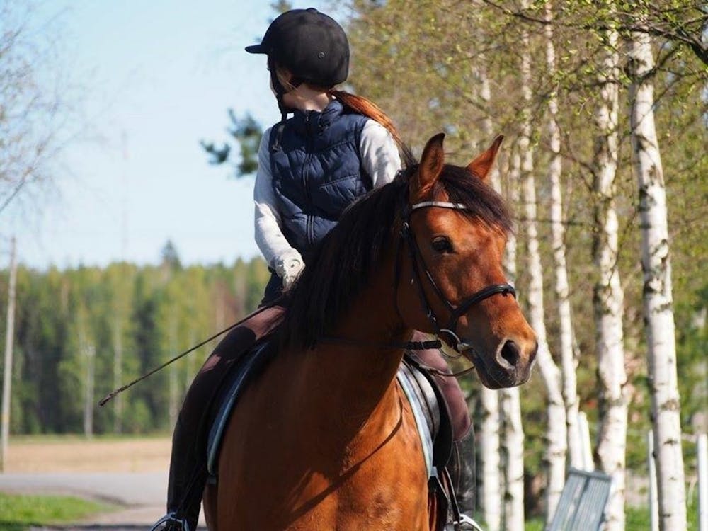 Photo of Woman on Horseback Looking Back