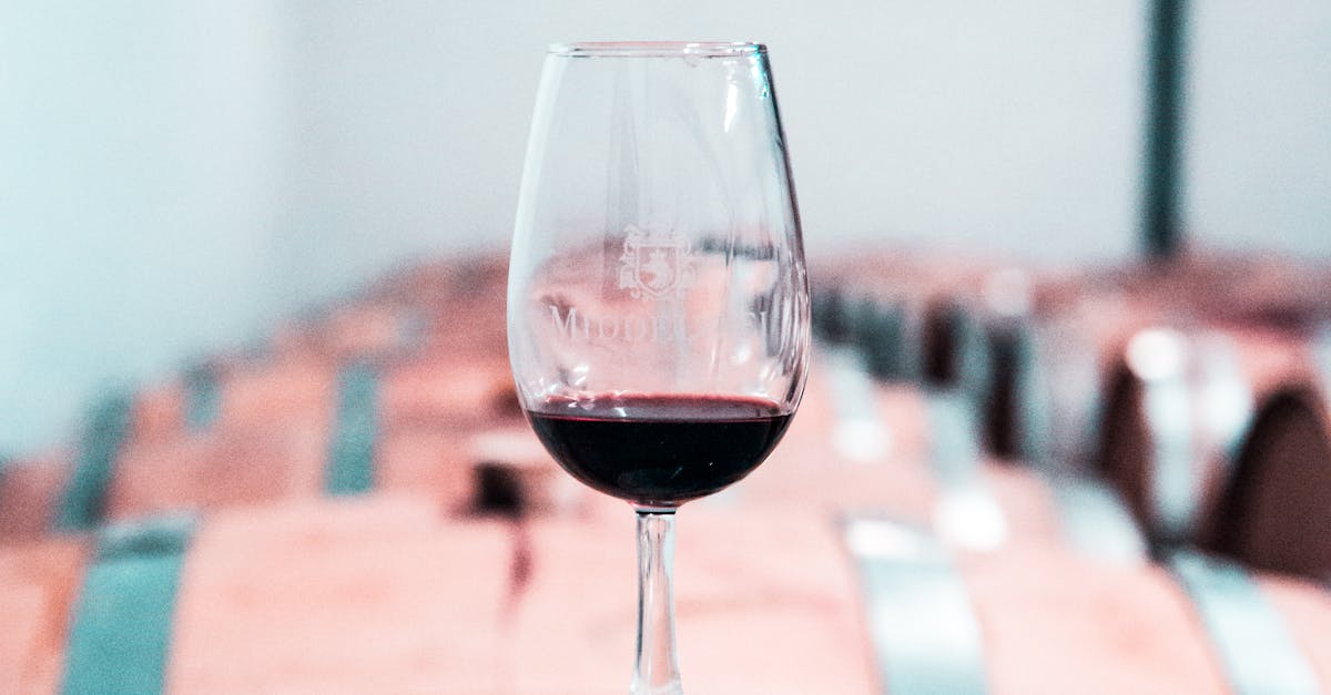 L’arte della degustazione del vino: consigli per i principianti L’arte della degustazione del vino: consigli per i principianti