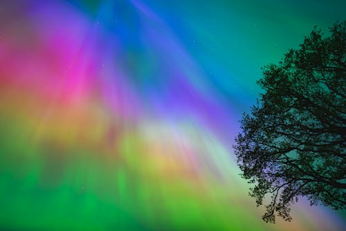 Abstract, Colorful Sky over Tree