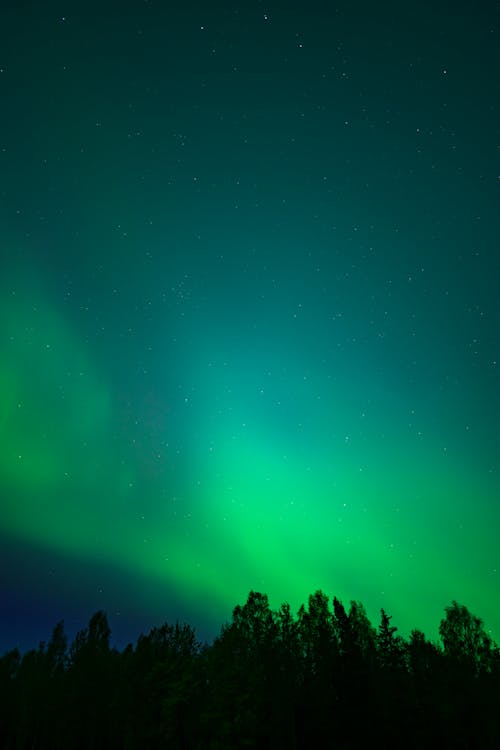 Ingyenes stockfotó 4k, 4k-háttérkép, aurora borealis témában