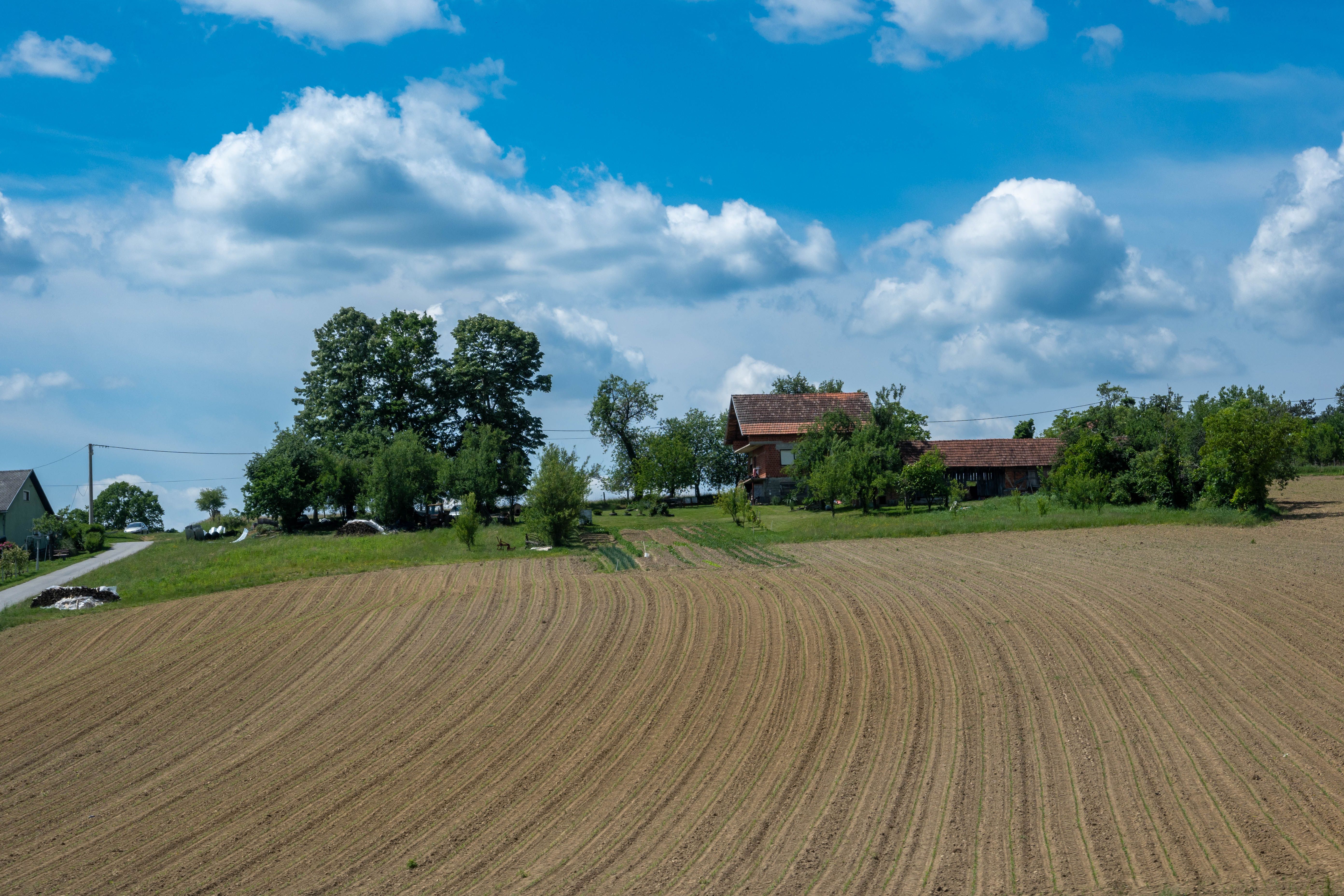 Field in Countryside · Free Stock Photo