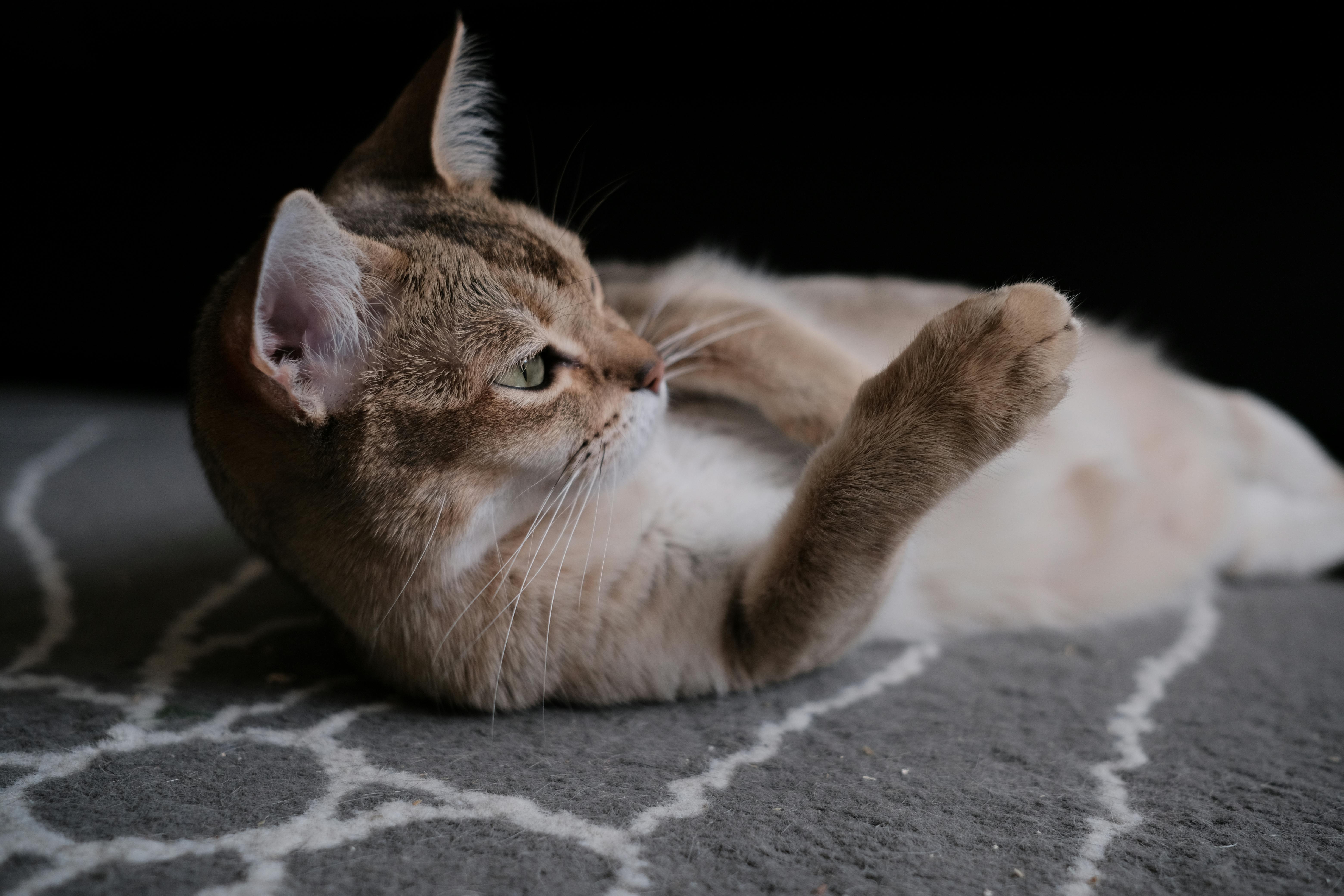 The Playfulness Factor