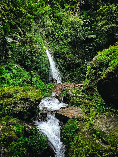A waterfall in the jungle surrounded by lush green vegetation