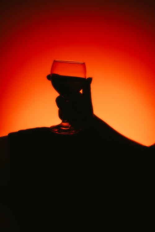 A silhouette of a person holding a glass of wine
