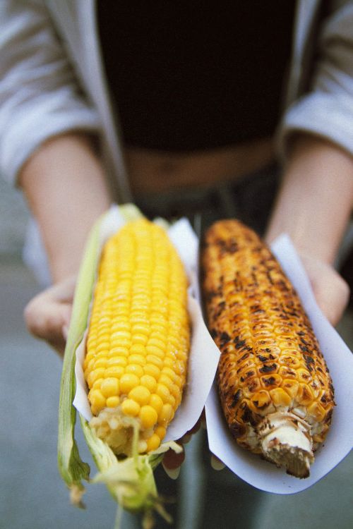 Free Close-up of grilled and fresh corn held by a woman in İstanbul, Türkiye Stock Photo