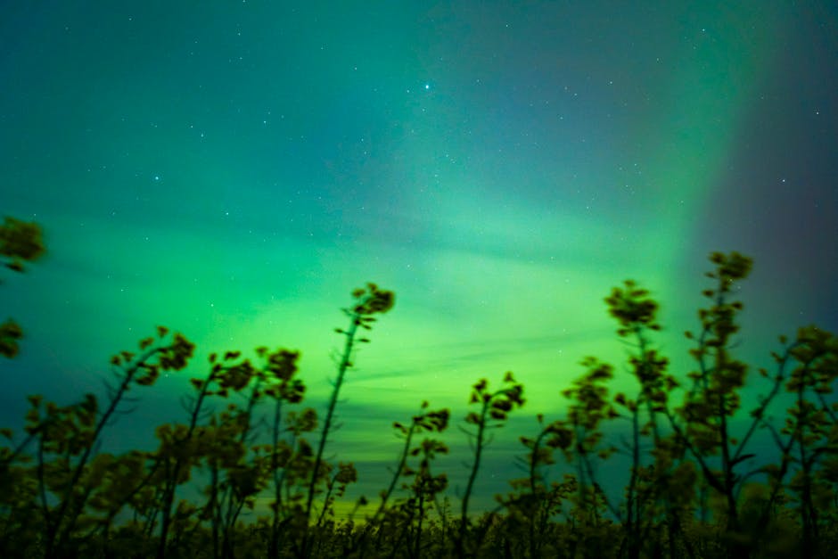 Astonishing Magnetic Fields in Nature