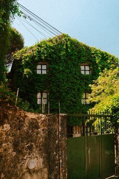 Explore a picturesque ivy-clad house capturing the rustic charm of Sintra, Portugal.