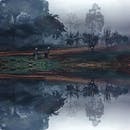 在一个宁静的雾蒙蒙的早晨，平静的湖面倒映着树木和长凳