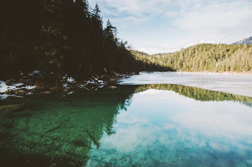 Free Body of Water Near Trees Stock Photo