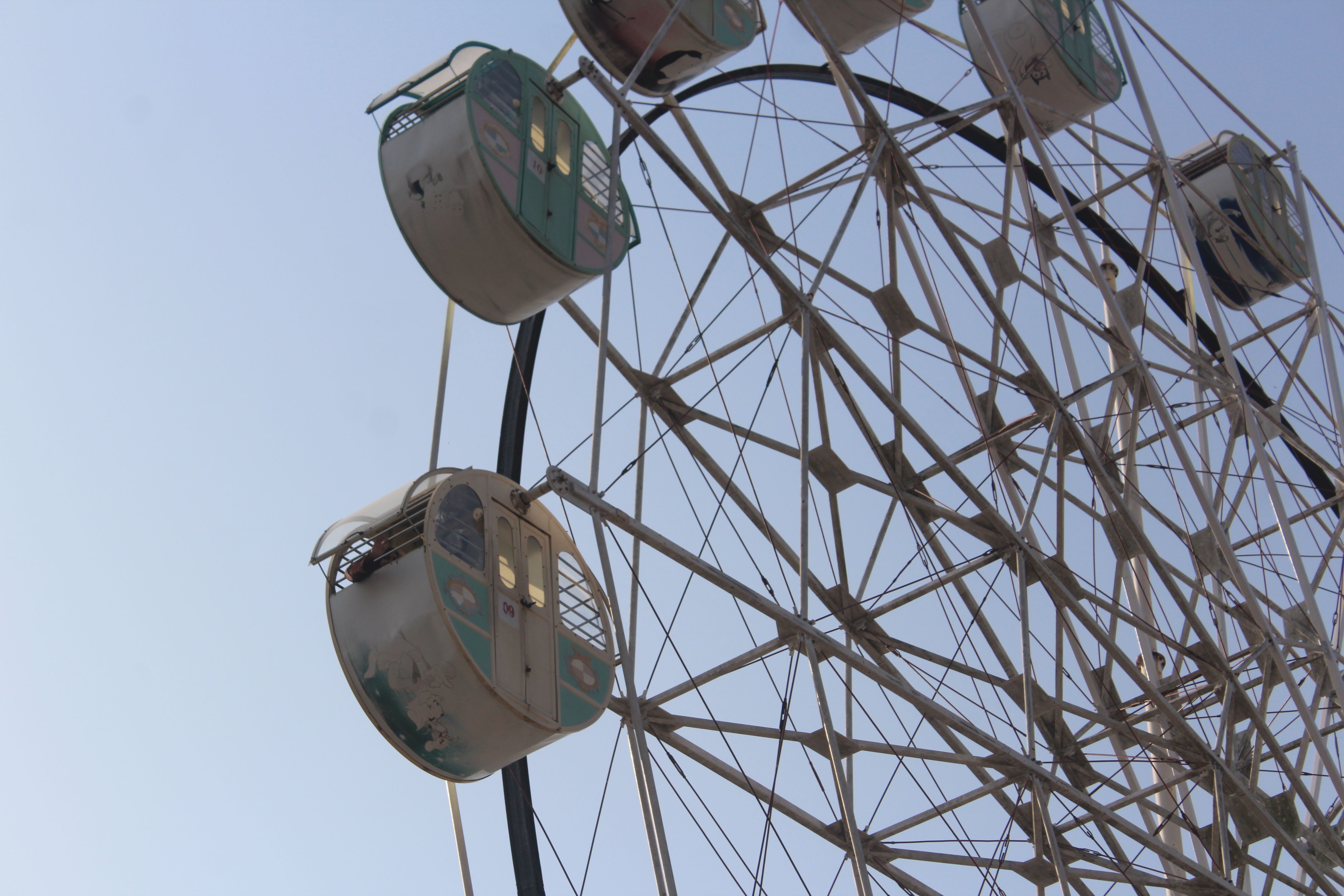 Ferris wheel with passenger cabins in amusement park · Free Stock Photo
