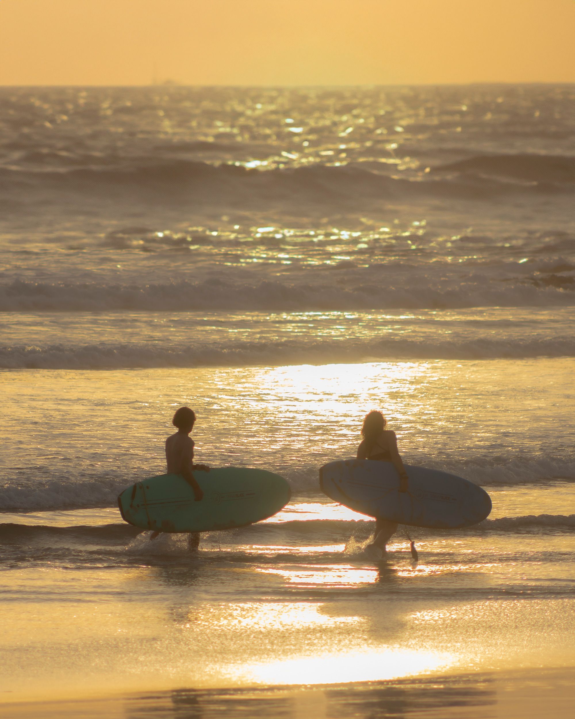 People Walking with Surfboards on Beach at Sunset · Free Stock Photo