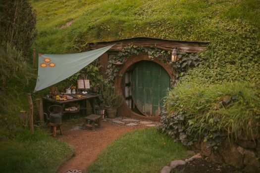 Hobbiton movie set day — Auckland