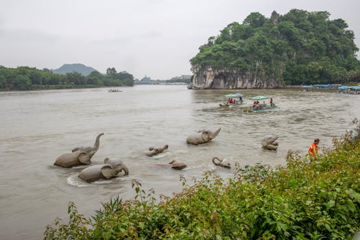 Serene view of Elephant Trunk Hill with elephant statues in Li River, Guilin, China.