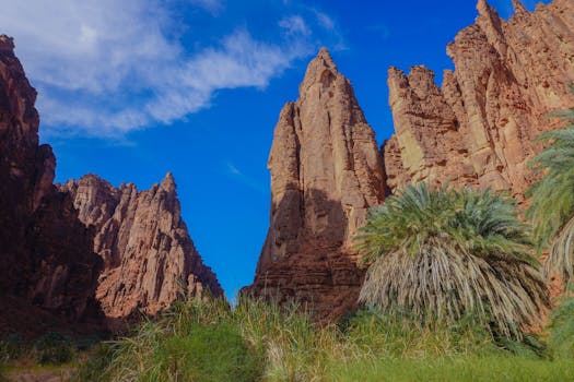 Tabuk, Saudi Arabia photo 16