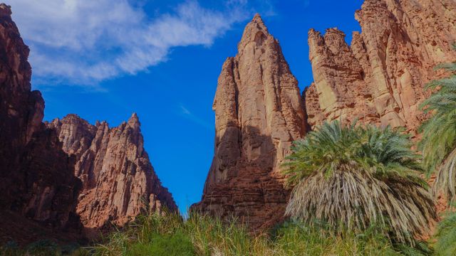 Discover the stunning sandstone formations and lush palms of Wadi Disah in Saudi Arabia's Tabuk region. — lounges at Tabuk Airport