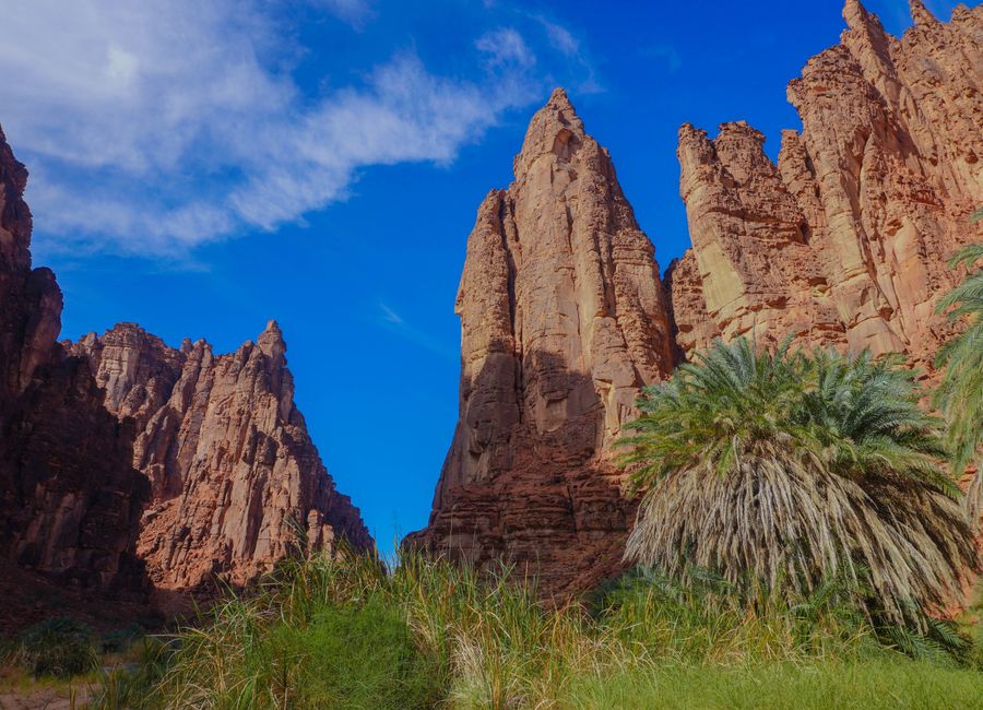 Discover the stunning sandstone formations and lush palms of Wadi Disah in Saudi Arabia's Tabuk region.