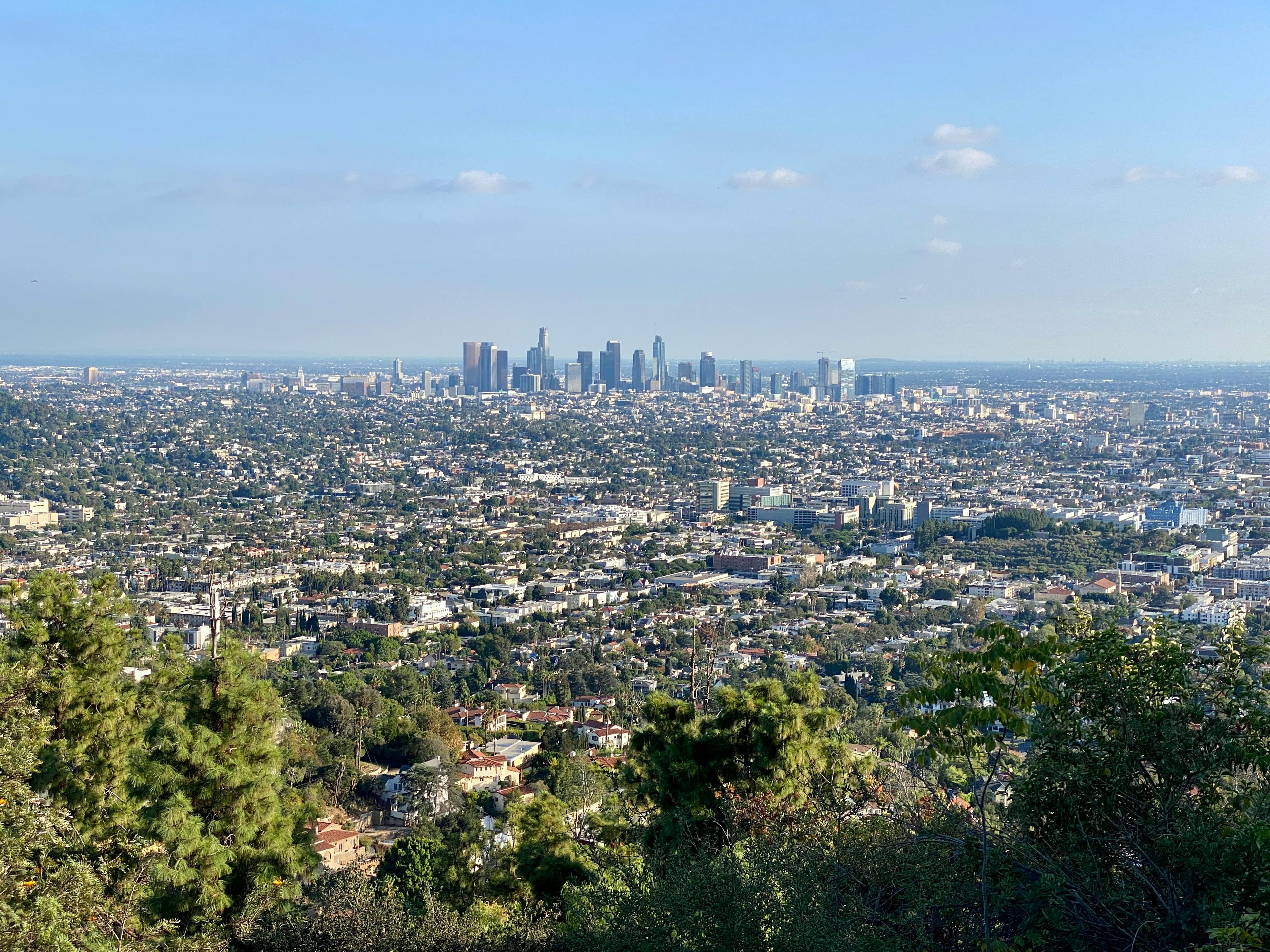 view of a city