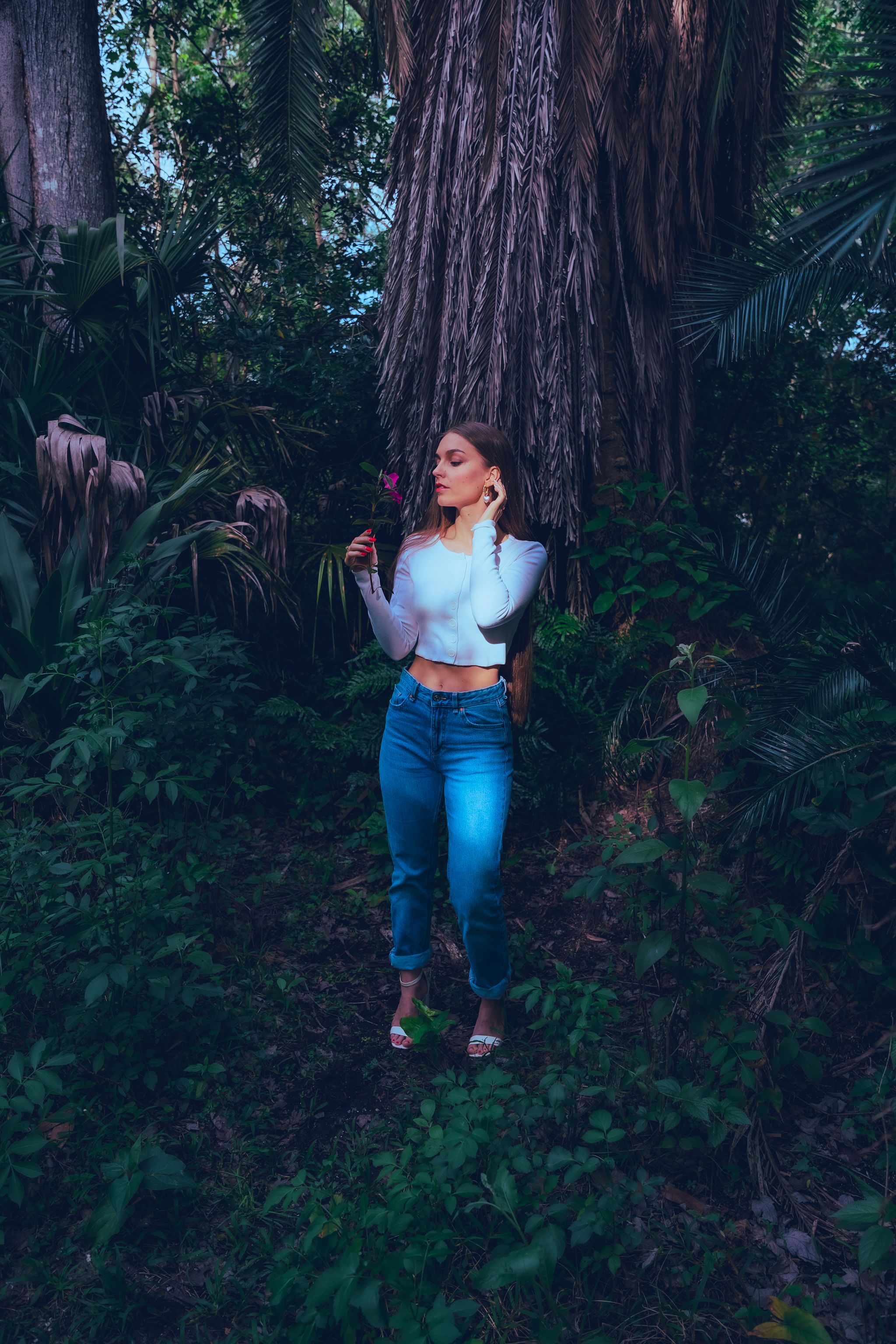 A Woman Standing in a Forest · Free Stock Photo