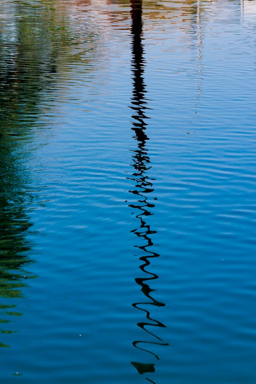 Water Reflections 1