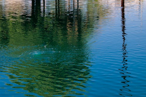 Water Reflections 2